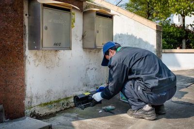 创卫在行动 | 重视病媒生物防制 保障市民健康生活 环境检测