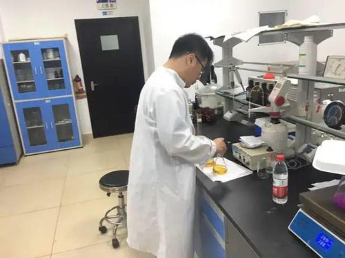海口市海洋环境监测中心全过程跟踪监测白沙门污水处理厂附近海域水质状况良好